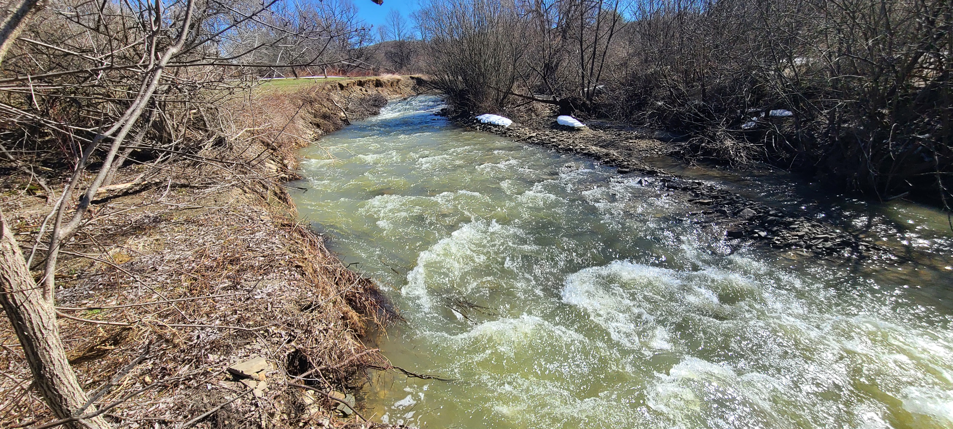 Spring River Run