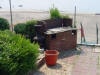 Terracotta planter