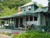 Tiny house with green roof